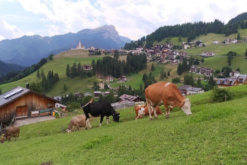 App. Monte Pore - Agriturismo La Majon Colle Santa Lucia Exterior foto